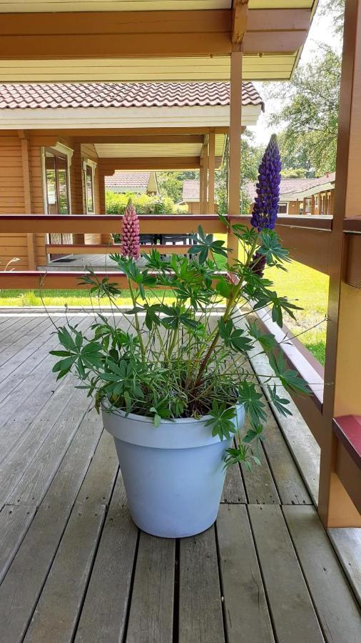 Lupine Lodge Gramsbergen Eksteriør billede